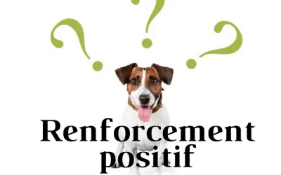 Pour en finir avec le R+ !